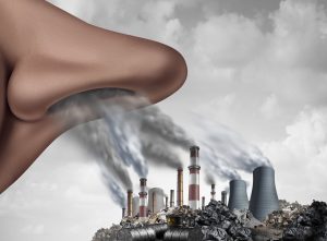 Воздействие загрязнения на окружающую среду и здоровье человека